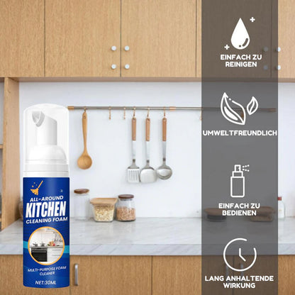 HygioFresh™ - Entfetter-Schaumspray [1 + 1 Gratis]