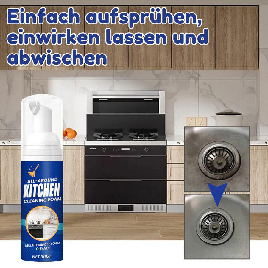 HygioFresh™ - Entfetter-Schaumspray [1 + 1 Gratis]