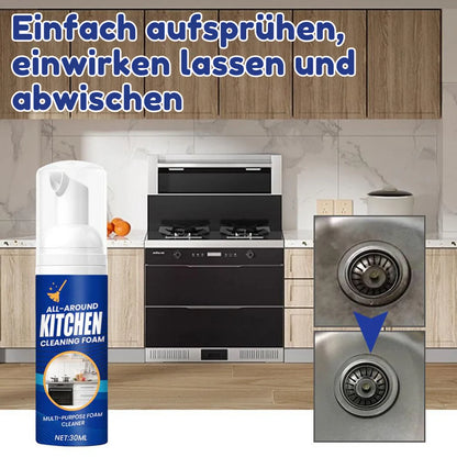 HygioFresh™ - Entfetter-Schaumspray [1 + 1 Gratis]