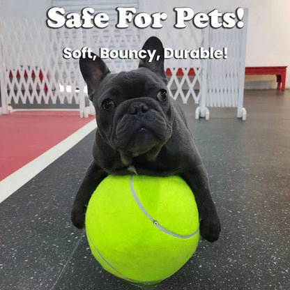50% RABATT | MegaFetch™ | XXL Hundeball für endlosen Spielspaß