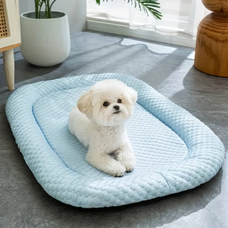 ChillPaws™ | Kühlendes Hundebett mit rutschfester Unterseite