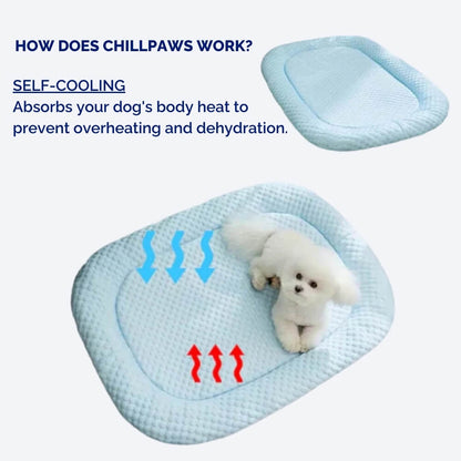ChillPaws™ | Kühlendes Hundebett mit rutschfester Unterseite