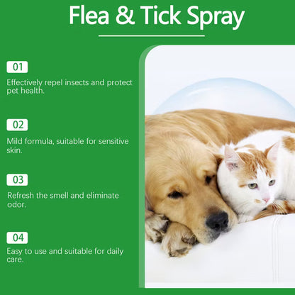 🐶 3 kaufen, 2 gratis 🐱 Haustierabweisendes Reinigungs- und Pflegespray