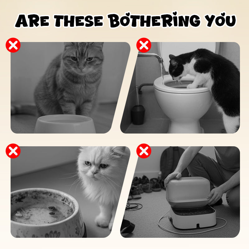 ArcadiaNest™ | Sauberes Füttern, Glückliche Katzen