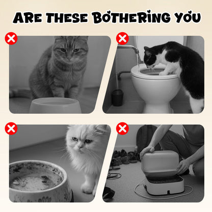 ArcadiaNest™ | Sauberes Füttern, Glückliche Katzen