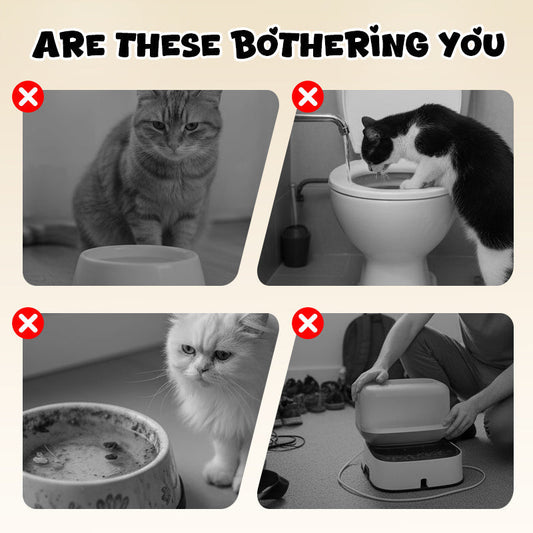 ArcadiaNest™ | Sauberes Füttern, Glückliche Katzen