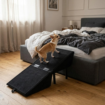 Hunderampe mit Hocker-Funktion – klappbare Aufstiegshilfe für Sofa & Bett