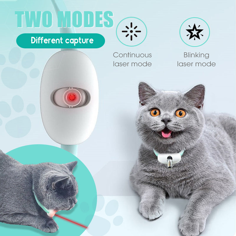 PurrPlay - Halten Sie Ihre Katze sofort aktiv, gesund und glücklich