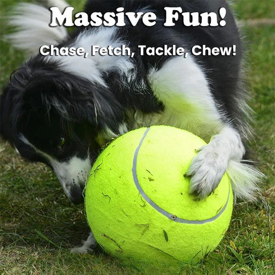 50% RABATT | MegaFetch™ | XXL Hundeball für endlosen Spielspaß