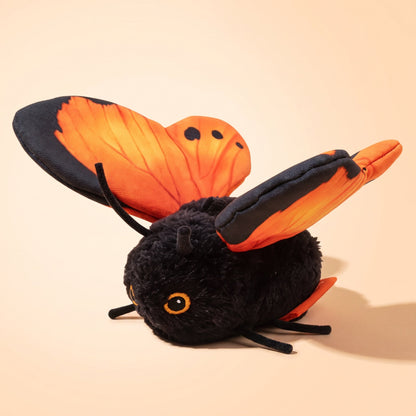 50% RABATT NUR HEUTE | WhiskFly™ - Interaktives fliegendes Katzenspielzeug