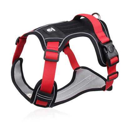 SafeGlow Harness™ | No-Pull Hundegeschirr mit LED-Halsband