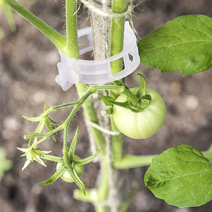 GardenGuard Clips — Wiederverwendbare Pflanzenstützclips für Gartenstängel und Ranken