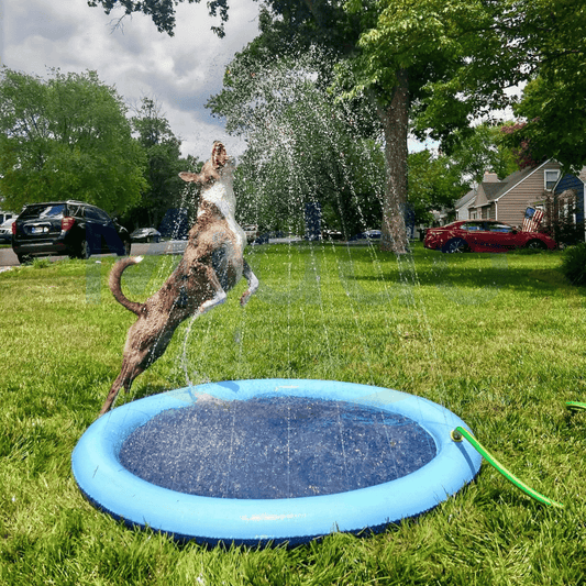 SplashZone™ | Wasserspielmatte – Garten Splash Pad für Kinder & Haustiere