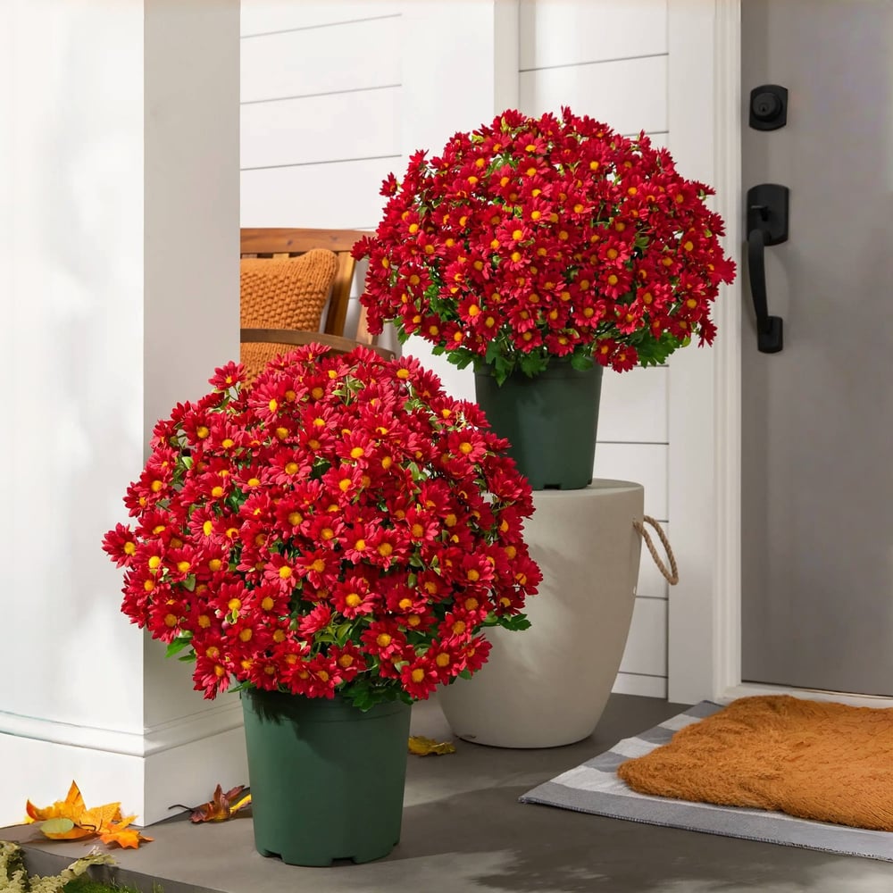 EverFall – Künstliche Herbst-Chrysantheme im Topf