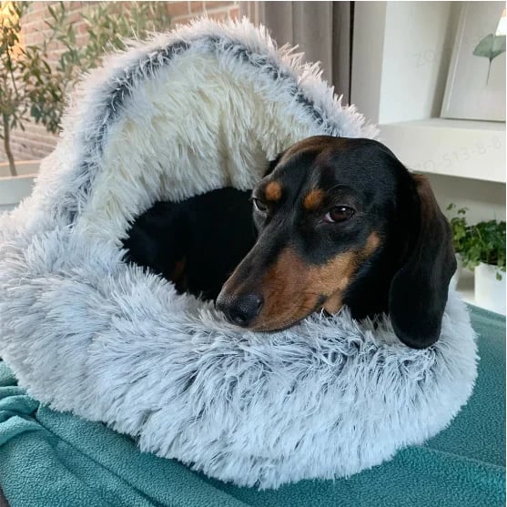 Hundebett | Waschbar & Weich | Gemütliches Komfortdesign