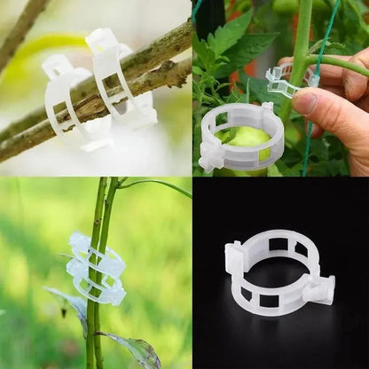 GardenGuard Clips — Wiederverwendbare Pflanzenstützclips für Gartenstängel und Ranken
