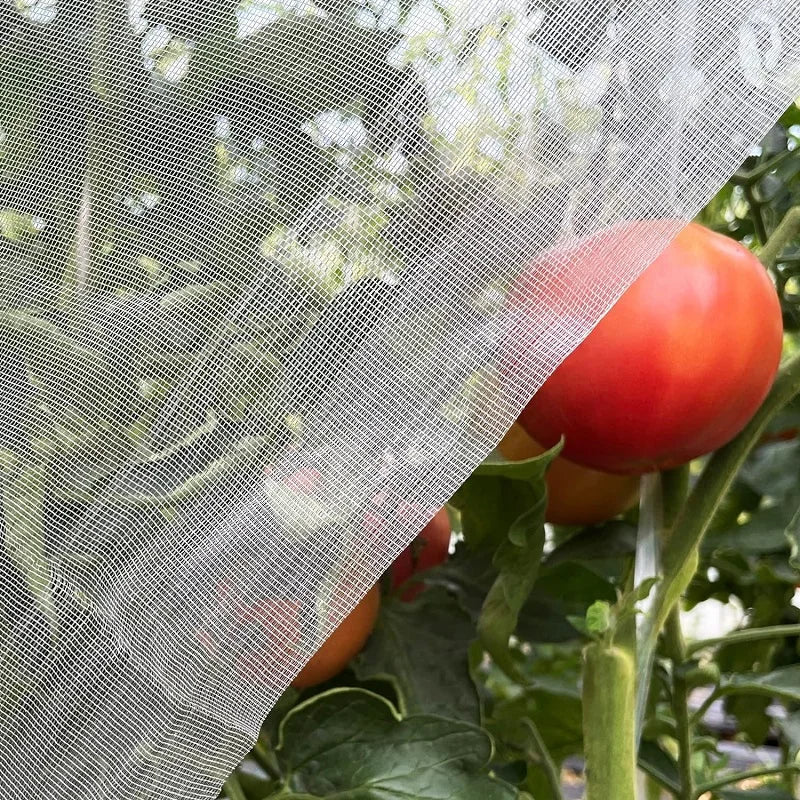 GreenShield Pro Pflanzenschutznetz | HDPE Insekten- und Vogelschutz | Lichtdurchlässig | Geeignet für Gemüse & Obst
