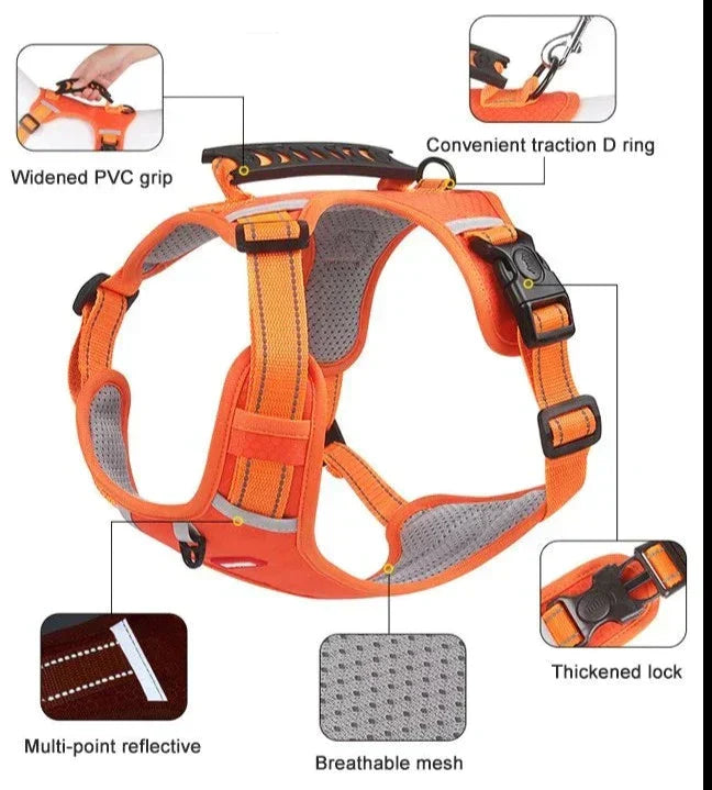 PawGuard™ – Hundegeschirr für Komfort & Sicherheit | 50% RABATT