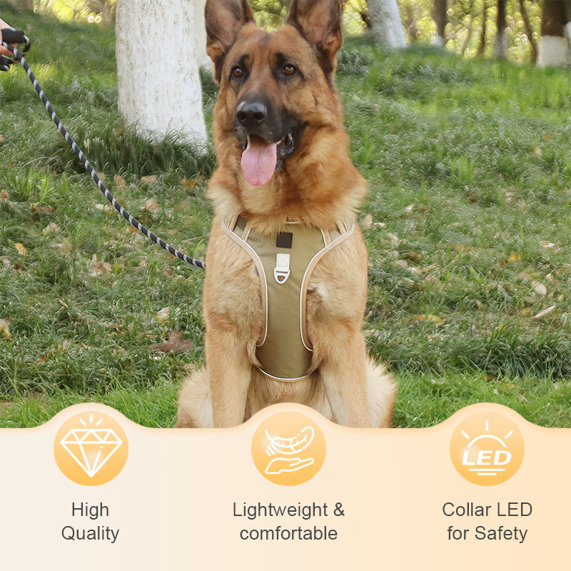 SafeGlow Harness™ | No-Pull Hundegeschirr mit LED-Halsband