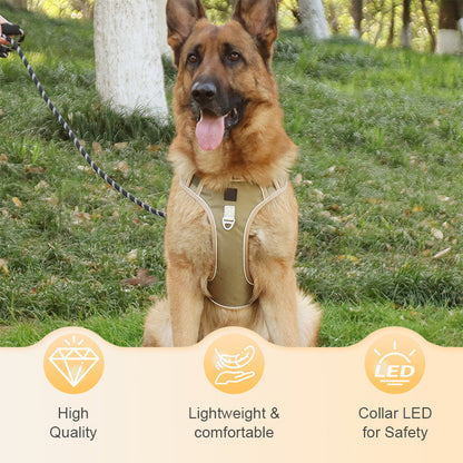 SafeGlow Harness™ | No-Pull Hundegeschirr mit LED-Halsband