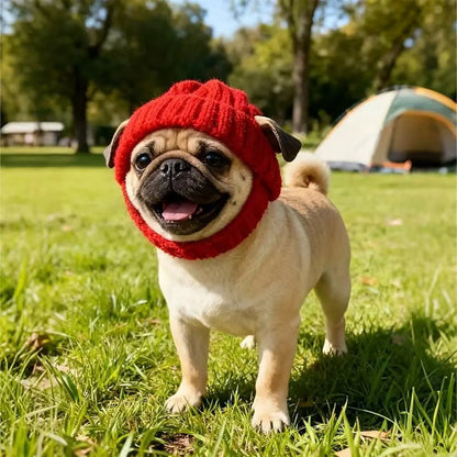 PupNest™ | Halten Sie Ihren kleinen Hund warm und stylisch
