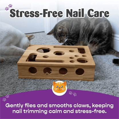 PawPlay™ | Holz-Katzen-Puzzlebox – Beschäftigung mit Leckerlies & natürlicher Krallenpflege
