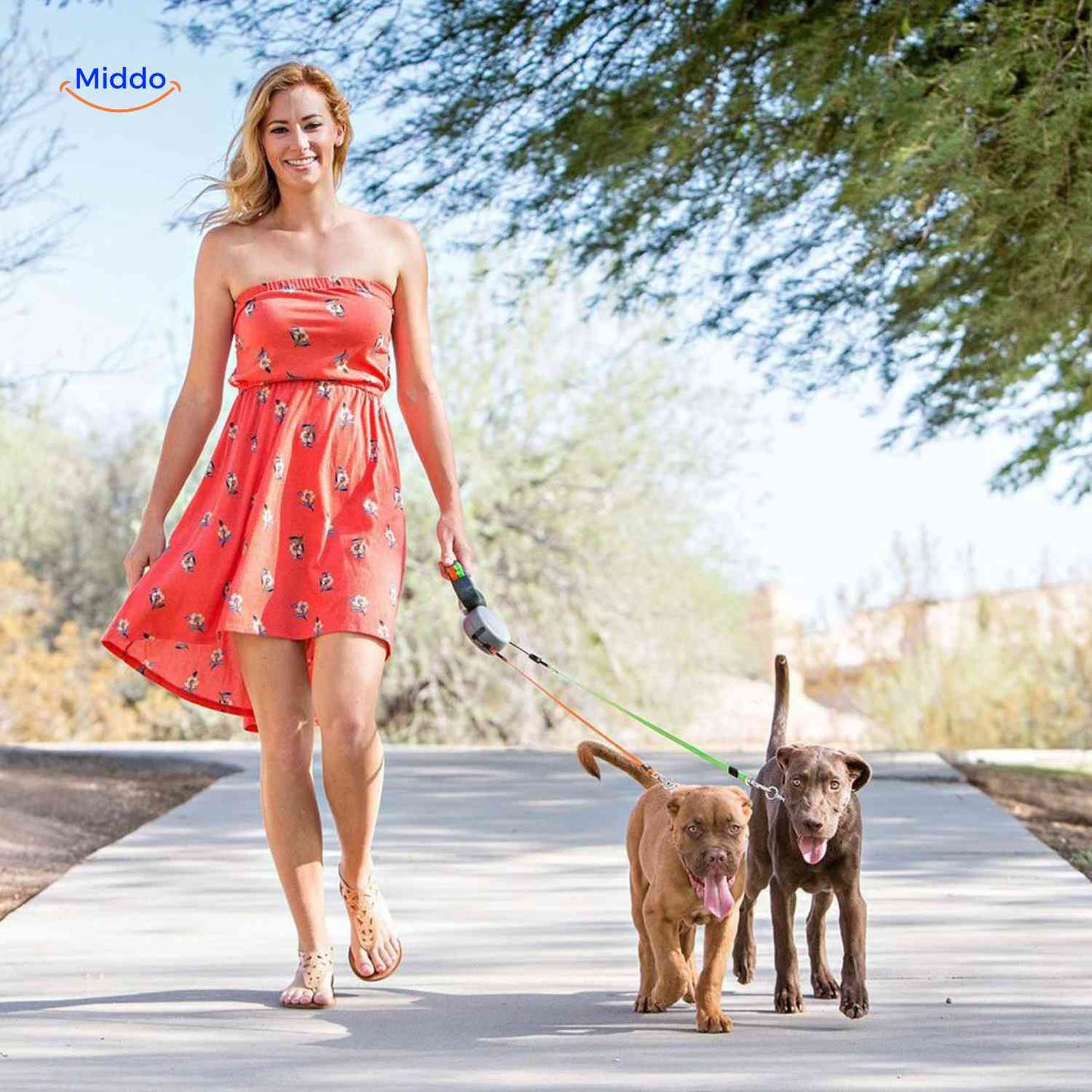 DualWalk – Mühelose, verhedderungsfreie Kontrolle bei Spaziergängen mit zwei Hunden