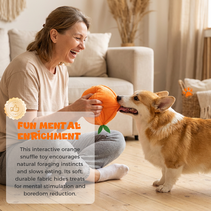 CitrusQuest — Interaktives Hundespielzeug | 50% RABATT
