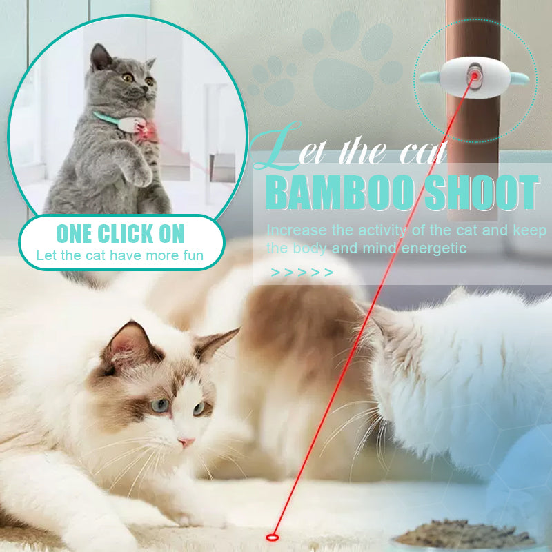 PurrPlay - Halten Sie Ihre Katze sofort aktiv, gesund und glücklich