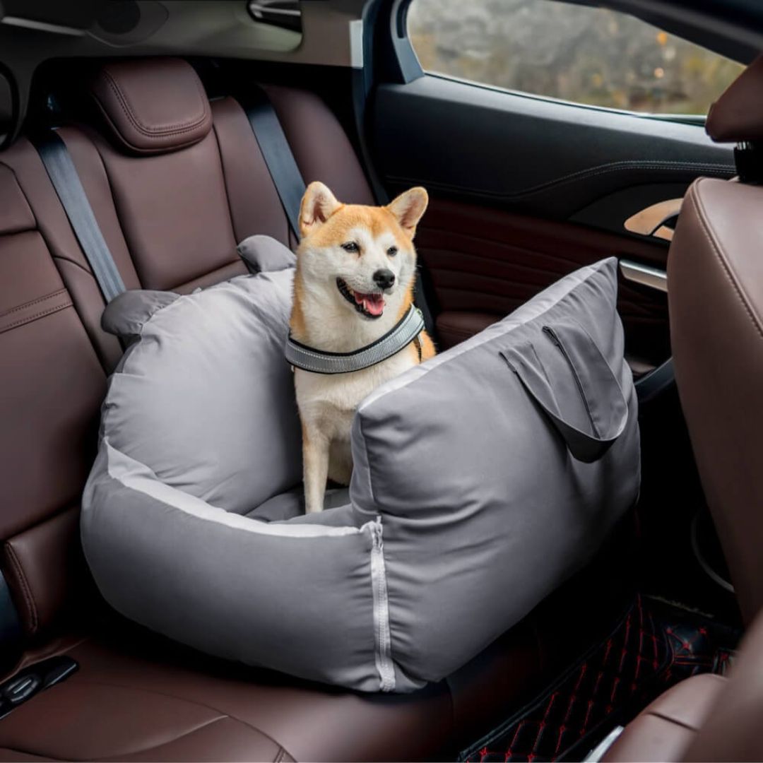 HundeBox™ | Hunde Autositz | Hundesitz für Rückbank | Hunde Auto Transportbox