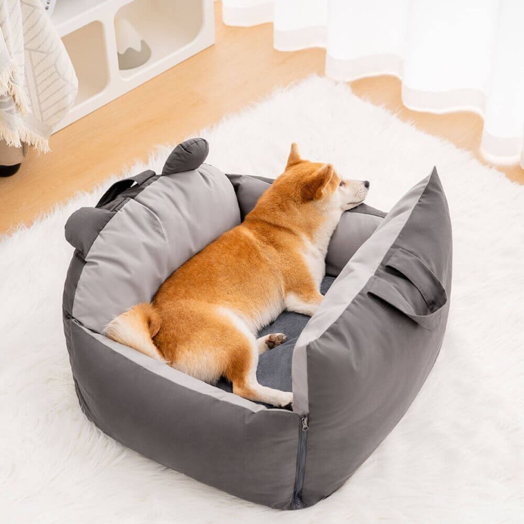 HundeBox™ | Hunde Autositz | Hundesitz für Rückbank | Hunde Auto Transportbox