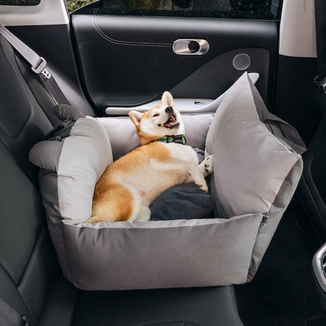 HundeBox™ | Hunde Autositz | Hundesitz für Rückbank | Hunde Auto Transportbox