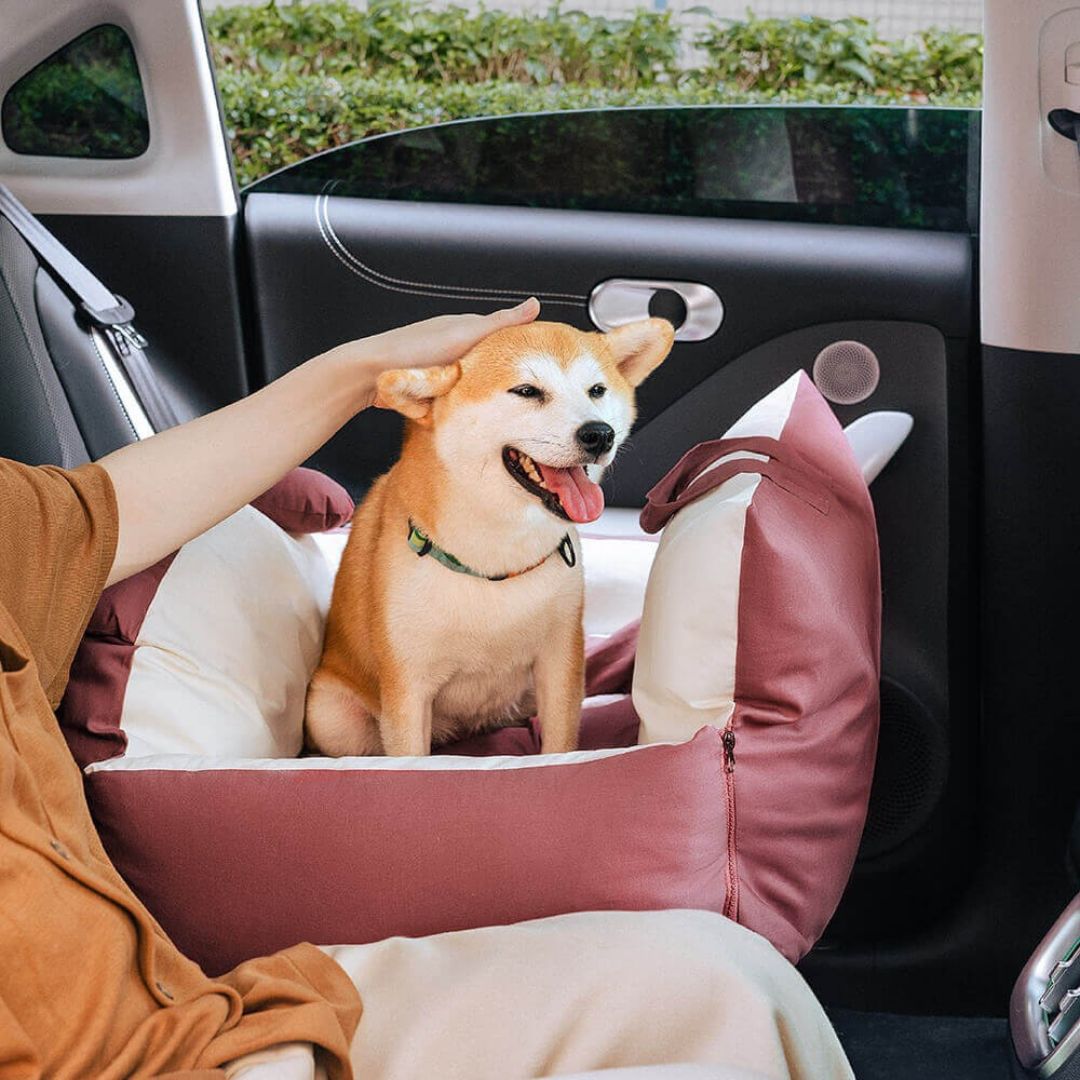 HundeBox™ | Hunde Autositz | Hundesitz für Rückbank | Hunde Auto Transportbox