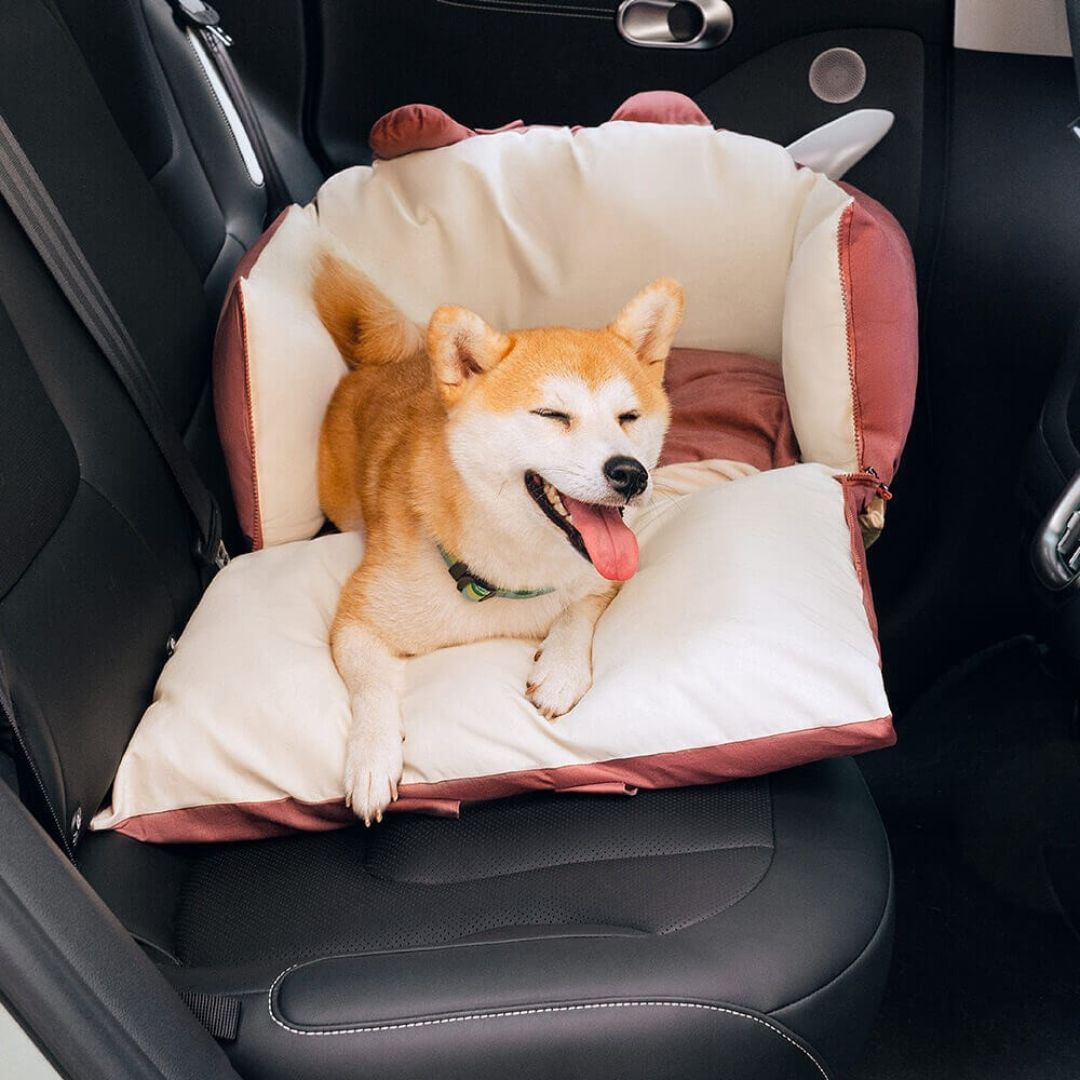 HundeBox™ | Hunde Autositz | Hundesitz für Rückbank | Hunde Auto Transportbox
