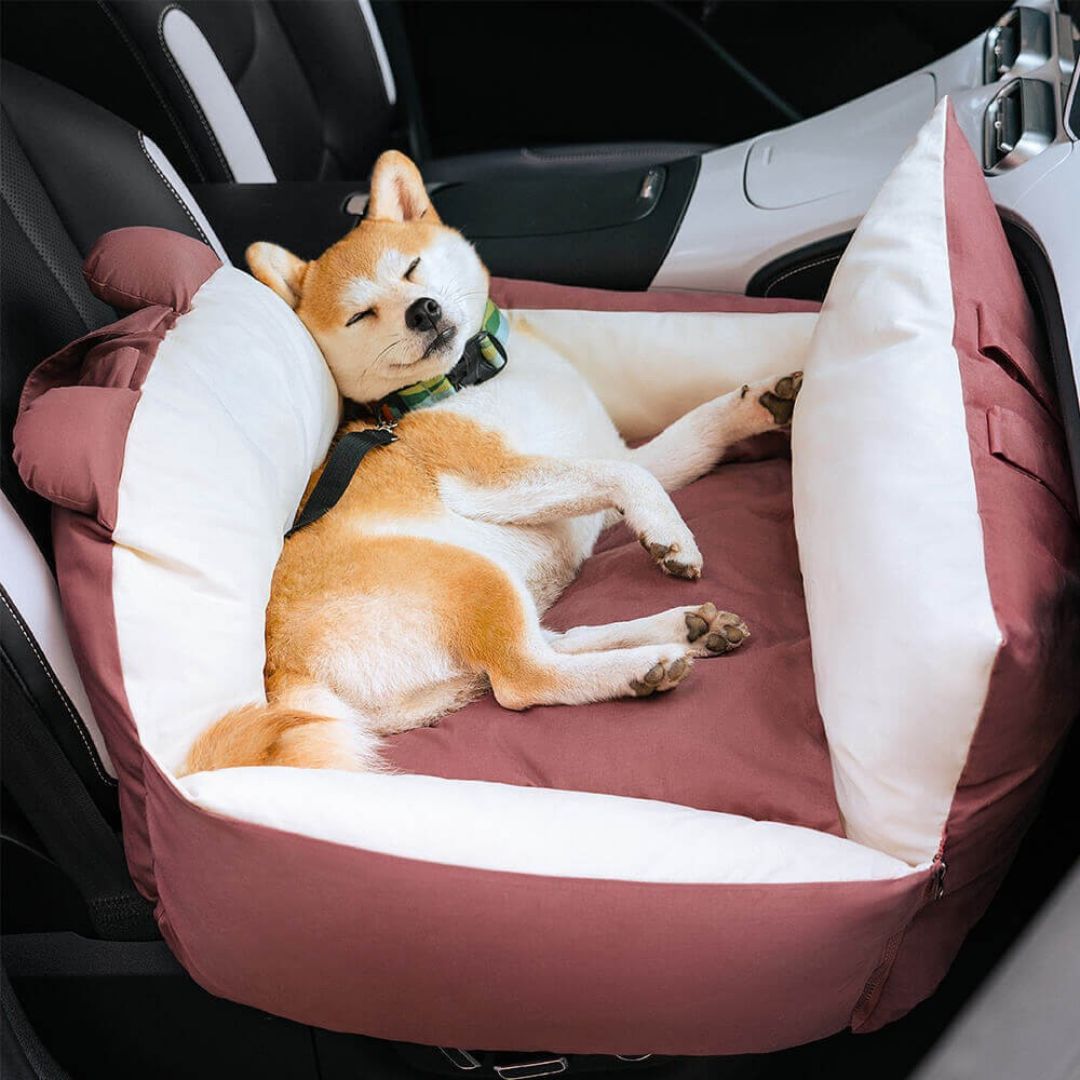 HundeBox™ | Hunde Autositz | Hundesitz für Rückbank | Hunde Auto Transportbox