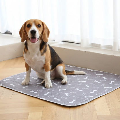 1+1 GRATIS | PetPad™ | Hundetoiletten Pads – Geruchskontrolle, ultra saugstark & auslaufsicher