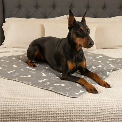 1+1 GRATIS | PetPad™ | Hundetoiletten Pads – Geruchskontrolle, ultra saugstark & auslaufsicher