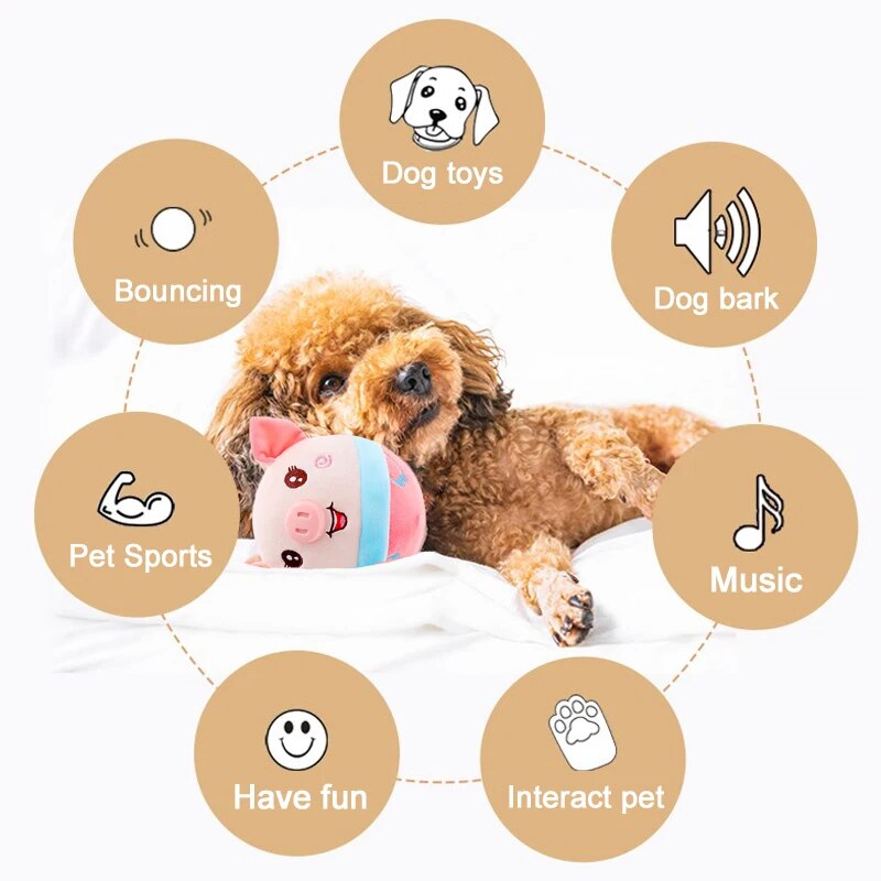 50% RABATT | BouncePal™ | Interaktives Hundespielzeug für Bewegung &amp; Ausgleich