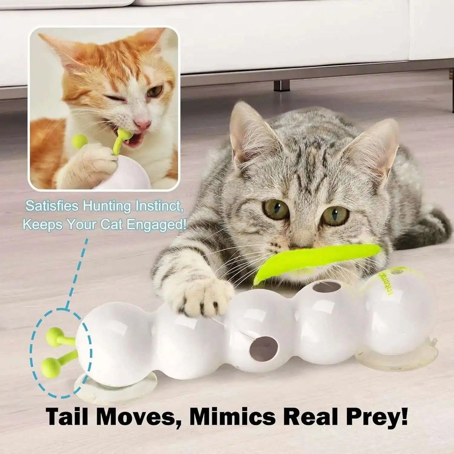 WigglePounce™ | Interaktives Wandspielzeug für Katzen