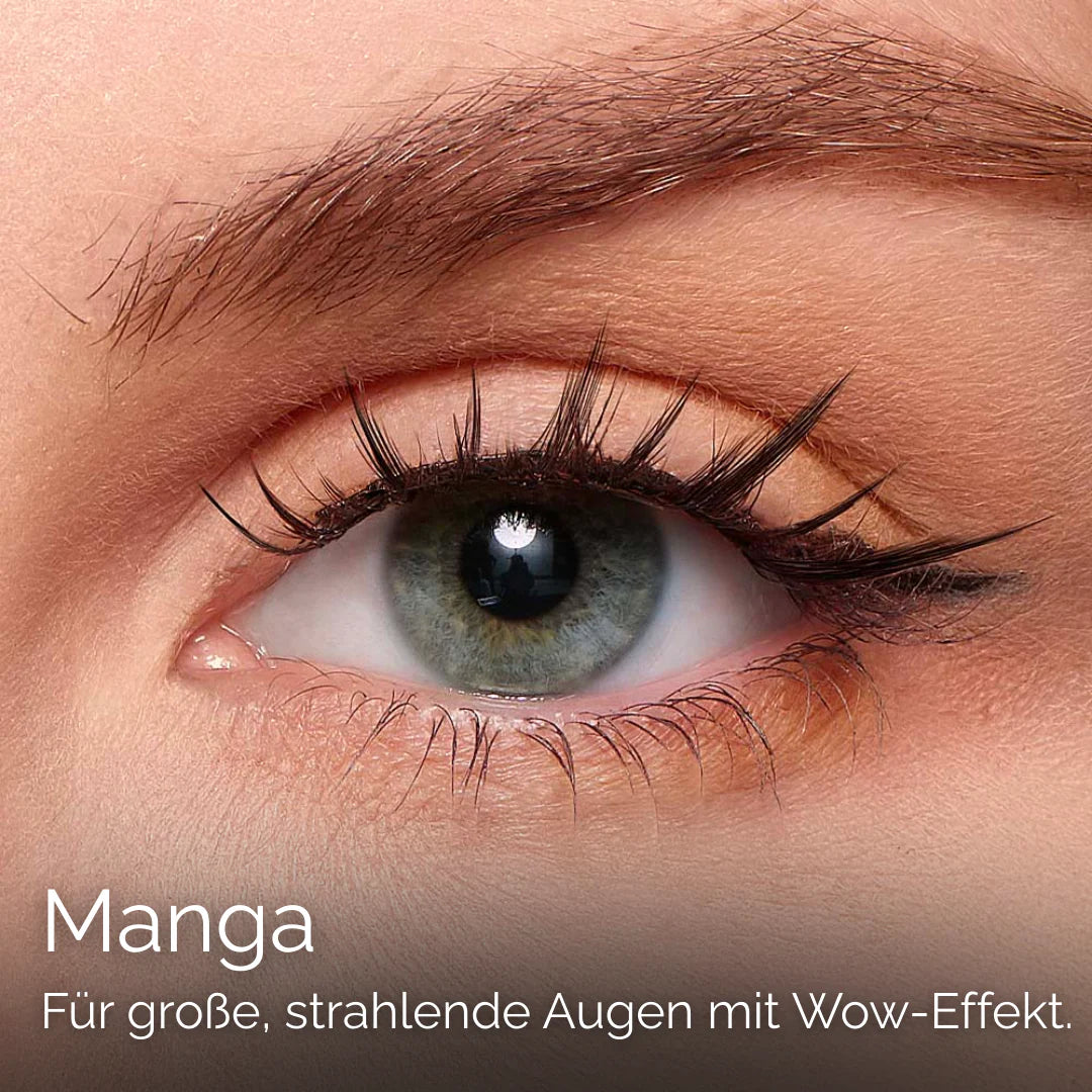 ICONIC - Premium Magnet Lashes