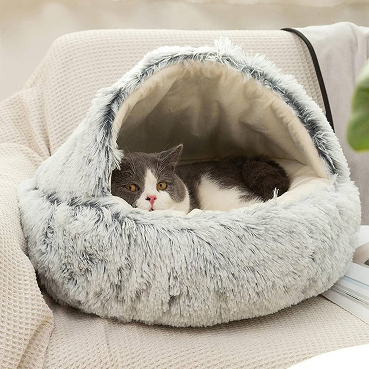 Hundebett | Waschbar & Weich | Gemütliches Komfortdesign