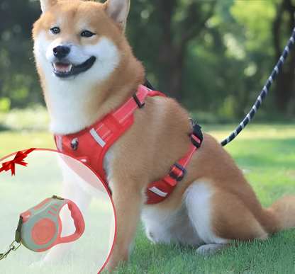 PawGuard™ – Hundegeschirr für Komfort & Sicherheit | 50% RABATT