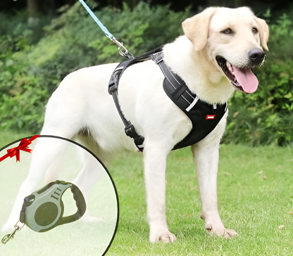 PawGuard™ – Hundegeschirr für Komfort & Sicherheit | 50% RABATT