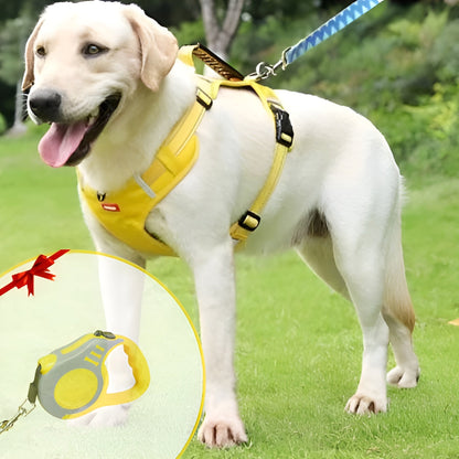 PawGuard™ – Hundegeschirr für Komfort & Sicherheit | 50% RABATT