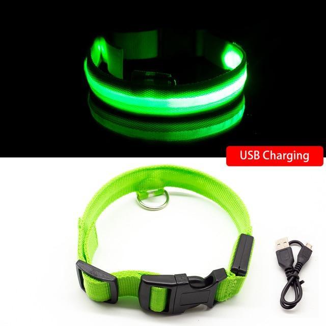 LED-Halsbänder für Hunde™
