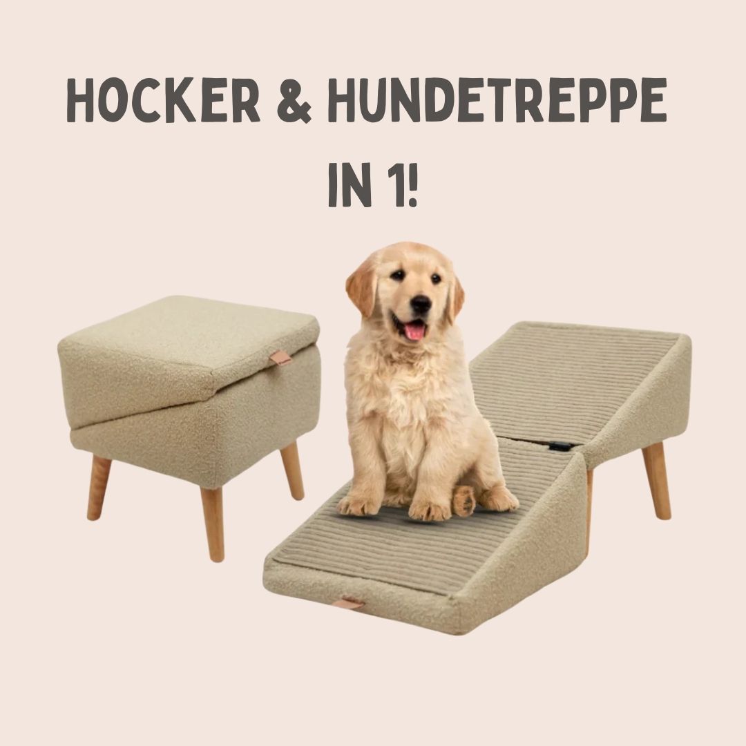 SofaFreund™ | Hundetreppe für Bett & Sofa | Hunderampe & Hocker in einem