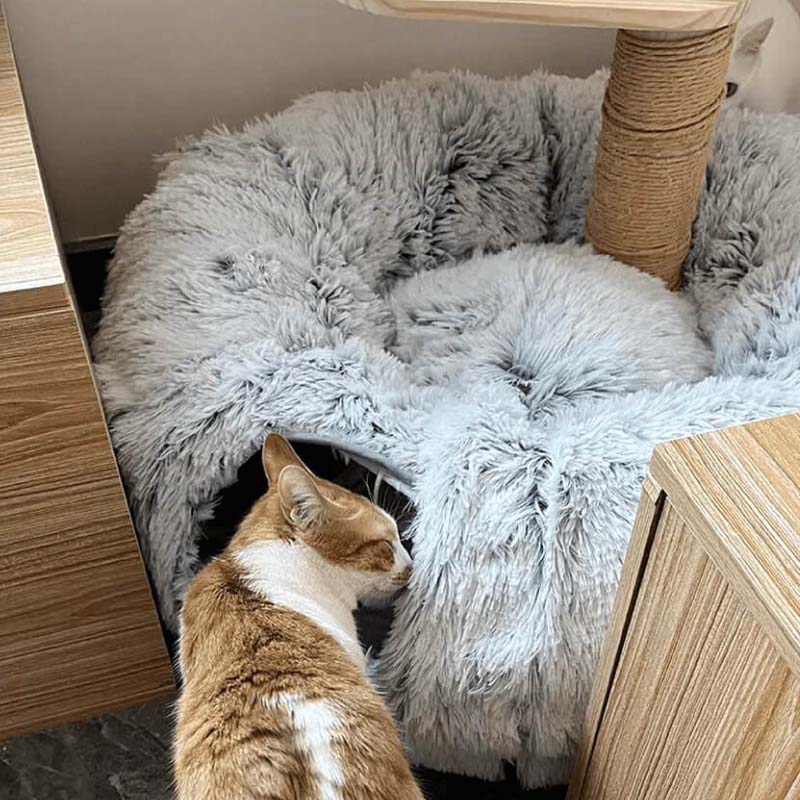 PurrLuxe – Faltbares Katzen-Tunnelbett | 50% RABATT