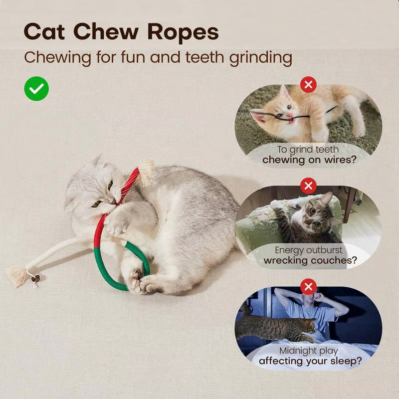 PurrPlay – Kauspielzeug für Katzen