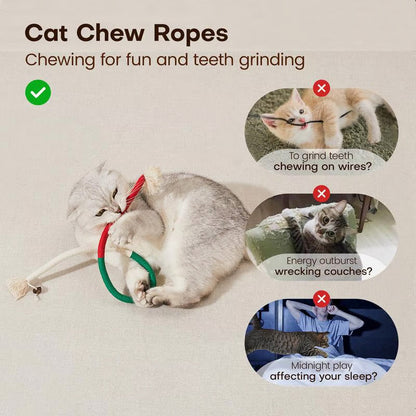 PurrPlay – Kauspielzeug für Katzen
