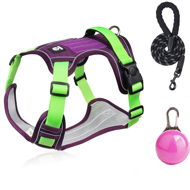 SafeGlow Harness™ | No-Pull Hundegeschirr mit LED-Halsband